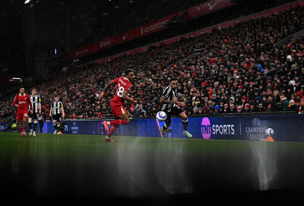 人类起源的 人类起源的