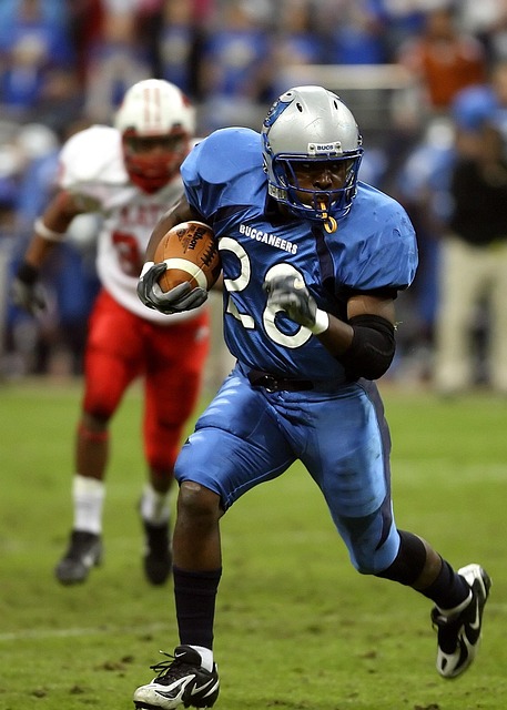 的整体观赏 的整体观赏