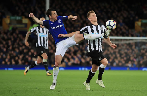 出現了明顯 出現了明顯